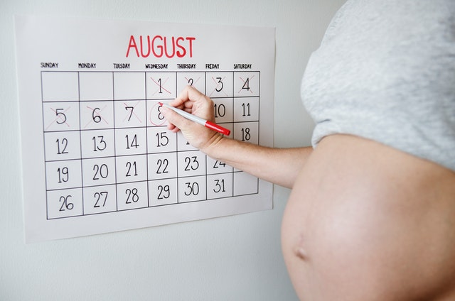 kalender baby